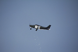 IMG_4636.JPG