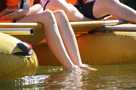 IMG_4442.JPG