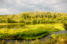 IMG_7964.jpg