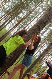 IMG_7461.jpg