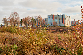 DU_049.JPG