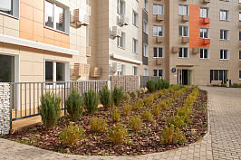 DU_0200.JPG